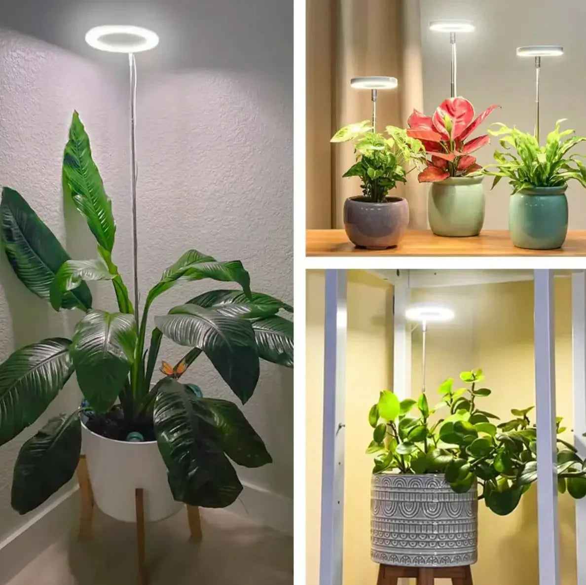 Plant Lamp | Full-Spectrum LED & Dimmable Timer