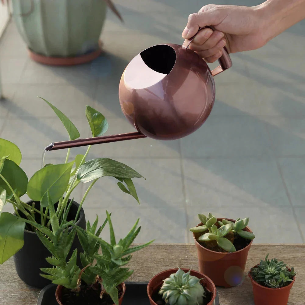 Watering Can | Minimalist Narrow Spout & Ergonomic Handle