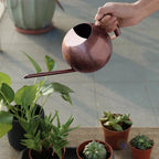 Watering Can | Minimalist Narrow Spout & Ergonomic Handle