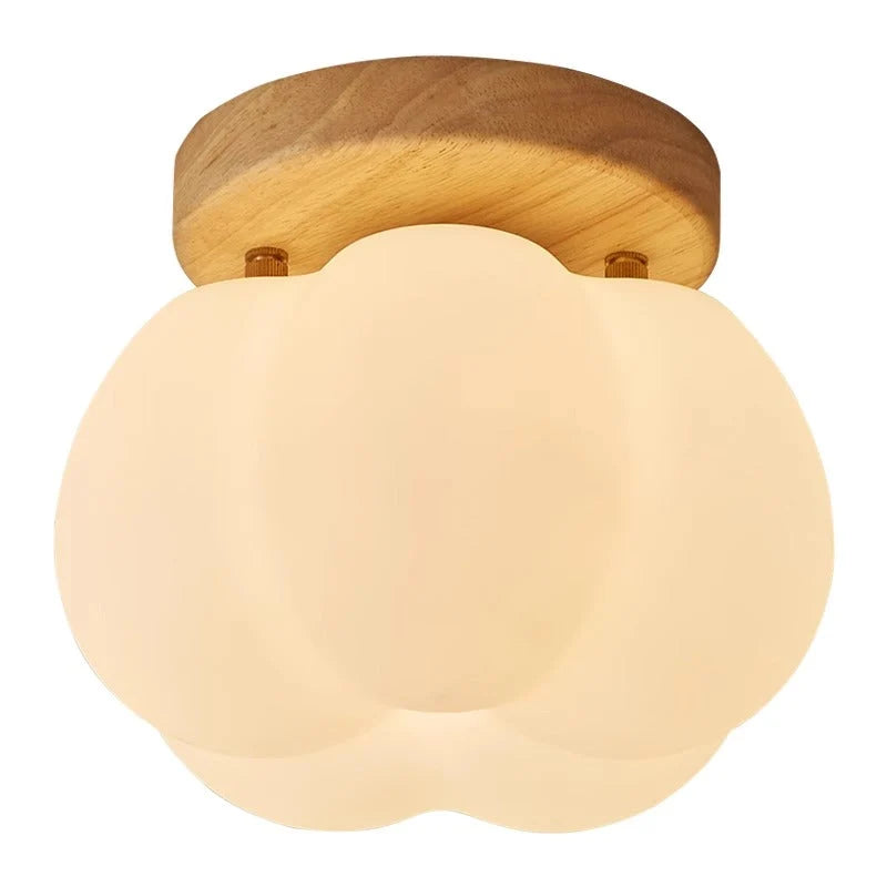 Ceiling Light | Ambient & Energy-Efficient | Easy Install