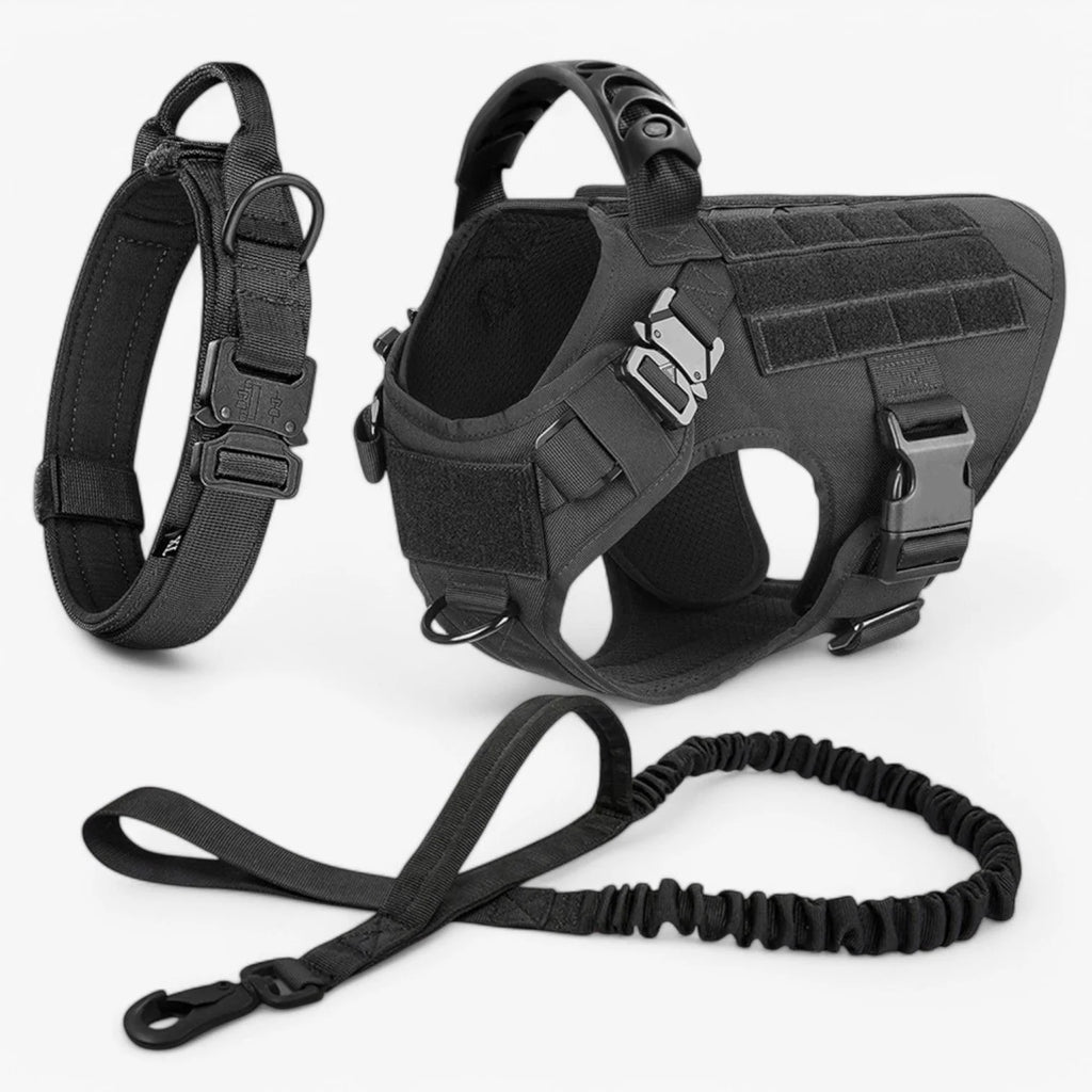 Dog Harness | Padded Nylon, Handle & Reflective Details