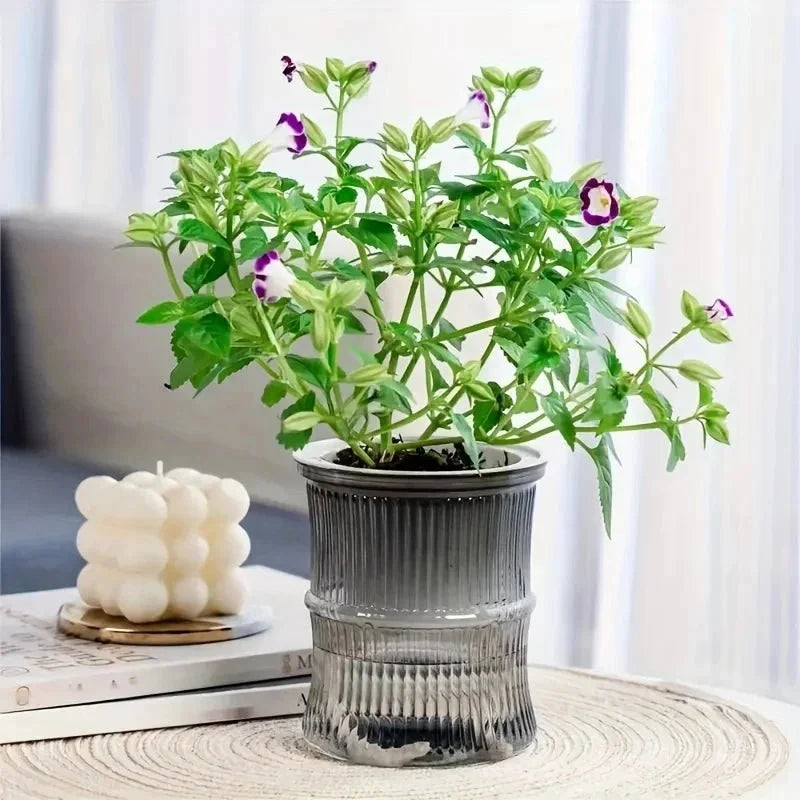 Indoor Planter | Eco-Friendly Self-Watering & Double-Wall