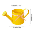 Watering Can | Painted Steel & Gentle Shower Head