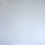 Spider Decoration | Lifelike Design & Flexible Legs | Halloween Decor