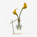 Propagation Vase | Glass & Metal Frame | 20 x 10 cm