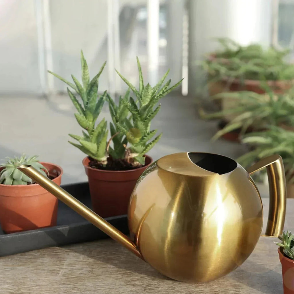 Watering Can | Minimalist Narrow Spout & Ergonomic Handle