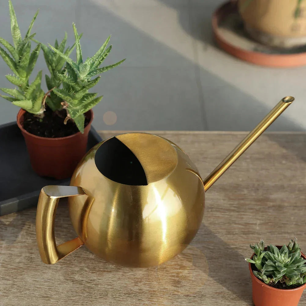 Watering Can | Minimalist Narrow Spout & Ergonomic Handle