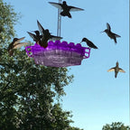 Hummingbird Feeder | Ant-Proof & UV-Resistant Polycarbonate | 12 Oz Capacity