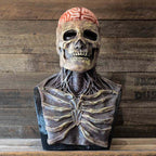 Skeleton Mask | Realistic Brain Design | Soft Breathable Latex