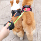 Retractable Double Pet Leash | 360° Anti-Tangle & LED Light | 2 × 3 m Leashes