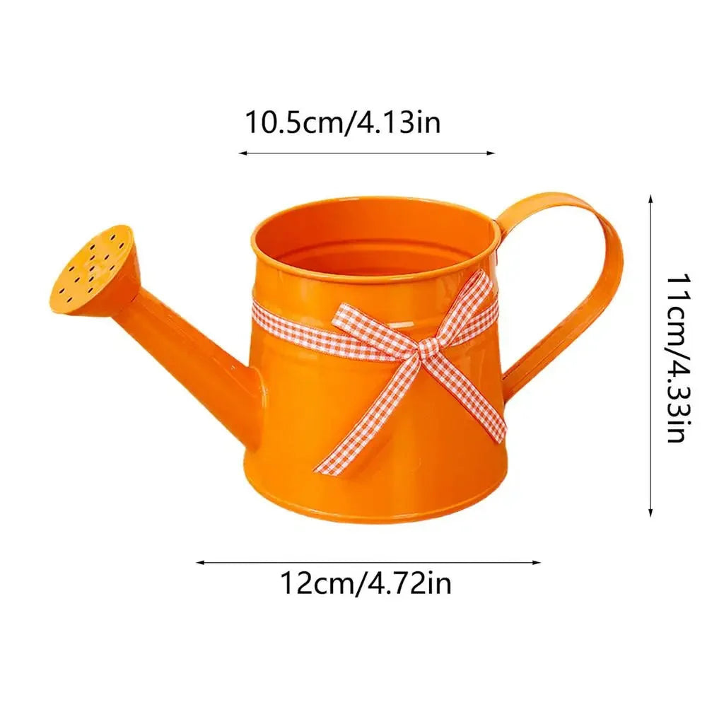 Watering Can | Painted Steel & Gentle Shower Head