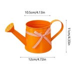 Watering Can | Painted Steel & Gentle Shower Head