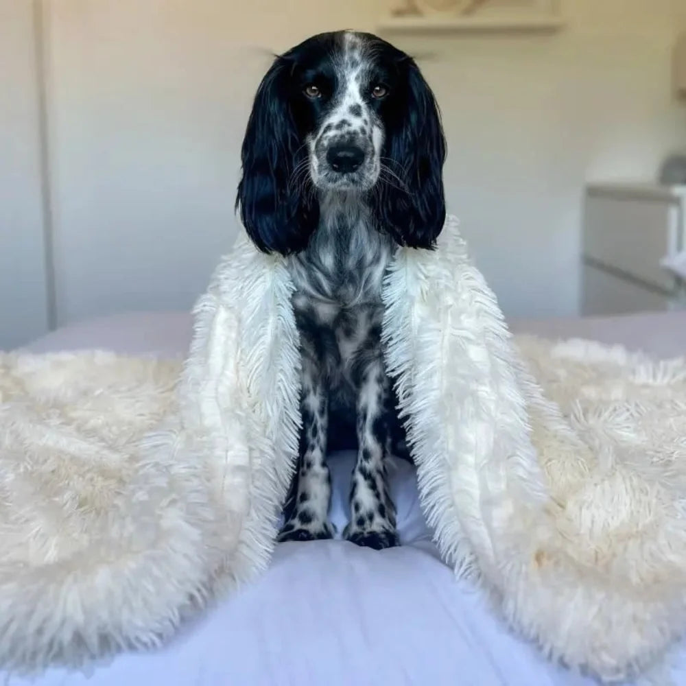Pet Blanket | Fluffy & Soft | Cozy Comfort for Pets