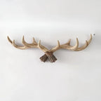 Wall-Mounted Coat Rack | Rustic Antler Design & Multiple Hooks