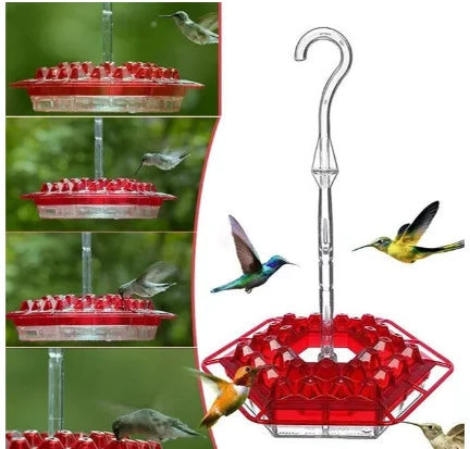 Hummingbird Feeder | Ant-Proof & UV-Resistant Polycarbonate | 12 Oz Capacity