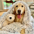 Pet Blanket | Fluffy & Soft | Cozy Comfort for Pets