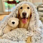 Pet Blanket | Fluffy & Soft | Cozy Comfort for Pets