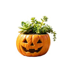 Ceramic Planter | Glossy Glaze Pumpkin Face | Integrated Plant Insert