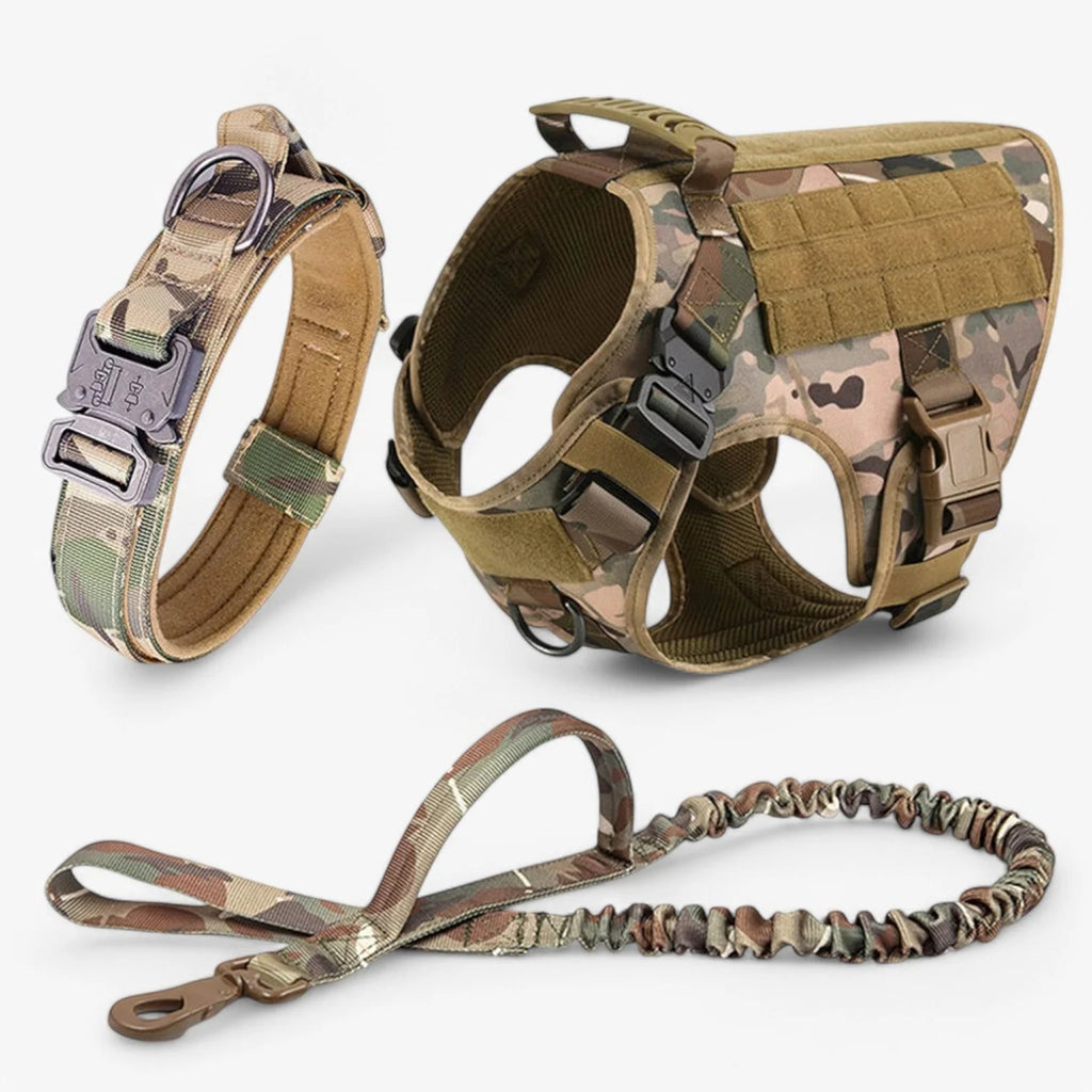 Dog Harness | Padded Nylon, Handle & Reflective Details