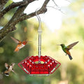 Hummingbird Feeder | Ant-Proof & UV-Resistant Polycarbonate | 30 Feeding Ports