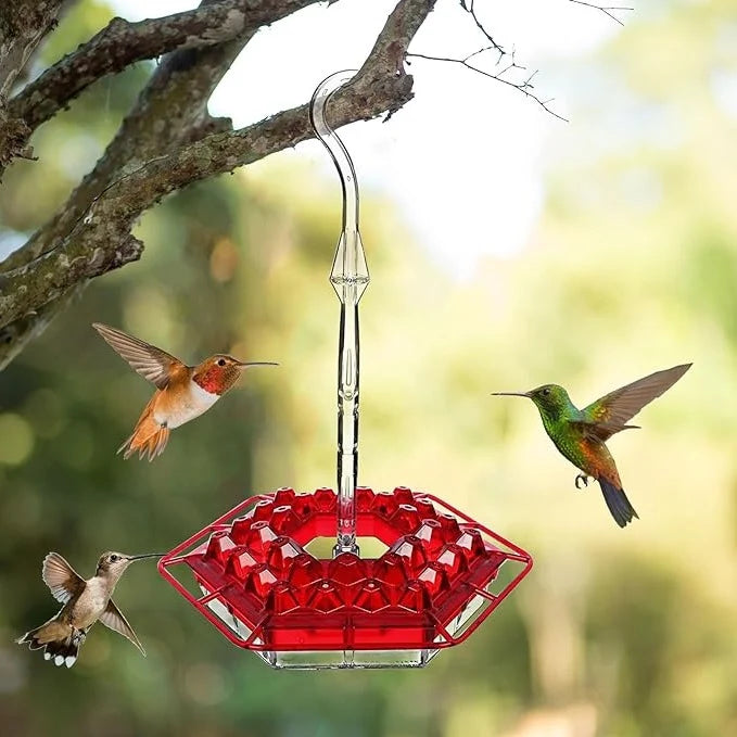 Hummingbird Feeder | Ant-Proof & UV-Resistant Polycarbonate | 30 Feeding Ports