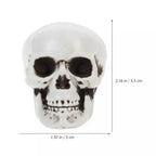 Mini Skull Decorations | White Skeletal Finish & Compact Tabletop | Set of 10