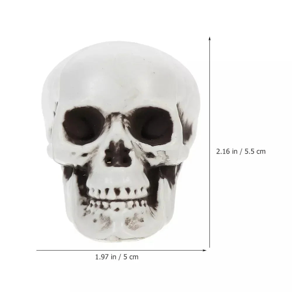 Mini Skull Decorations | White Skeletal Finish & Compact Tabletop | Set of 10