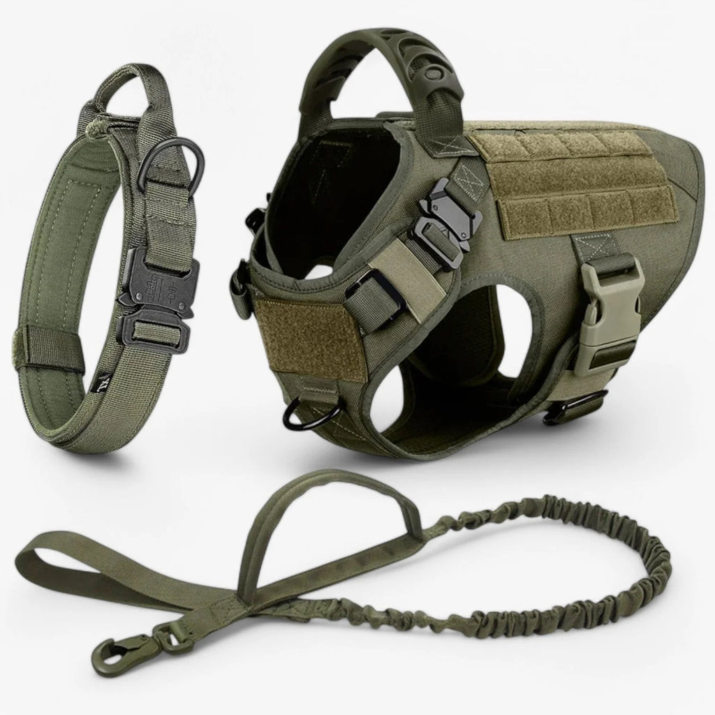 Dog Harness | Padded Nylon, Handle & Reflective Details