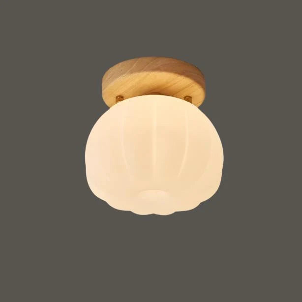 Ceiling Light | Ambient & Energy-Efficient | Easy Install