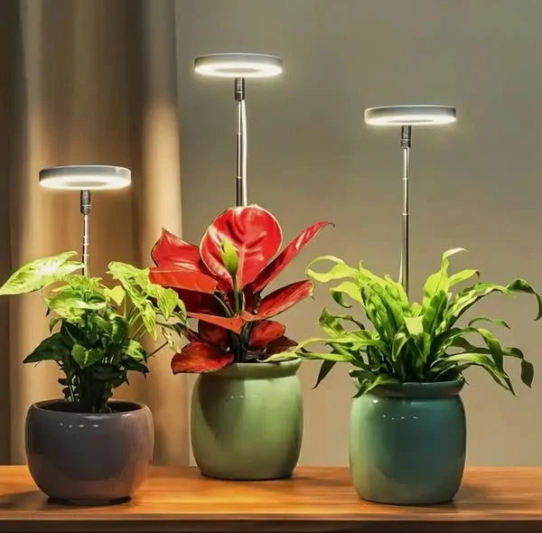 Plant Lamp | Full-Spectrum LED & Dimmable Timer
