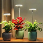 Plant Lamp | Full-Spectrum LED & Dimmable Timer