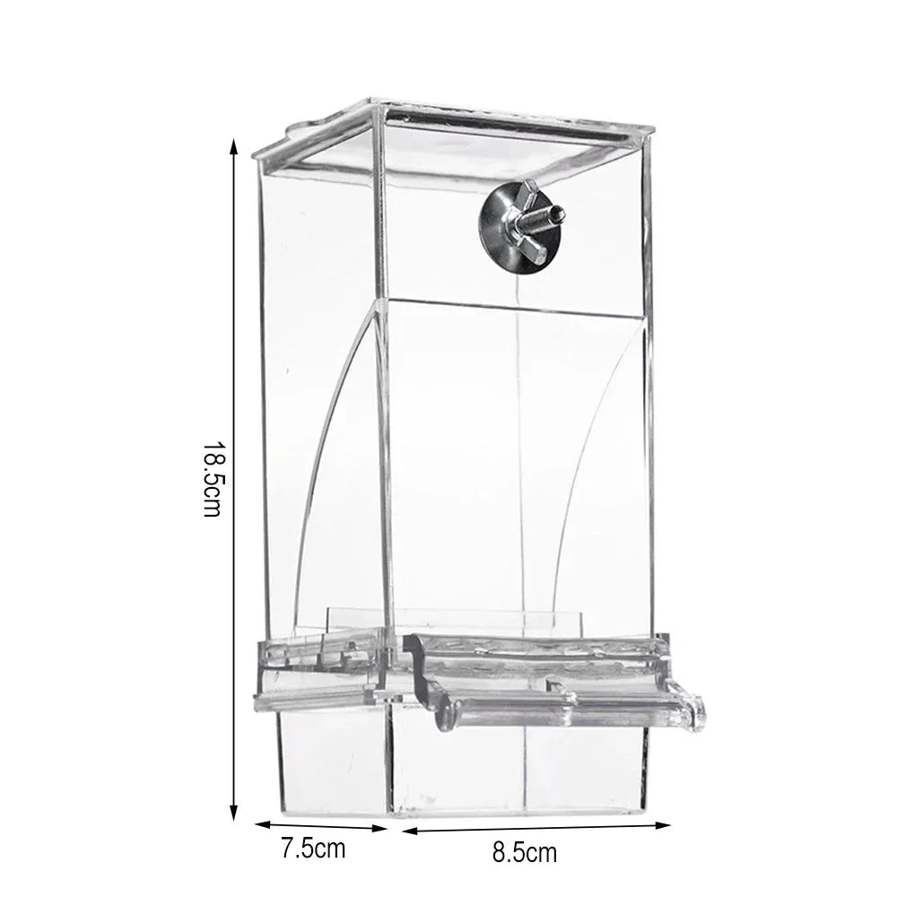 Automatic Bird Feeder | Spill-Proof & Splash-Proof | For Small Birds