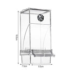 Automatic Bird Feeder | Spill-Proof & Splash-Proof | For Small Birds