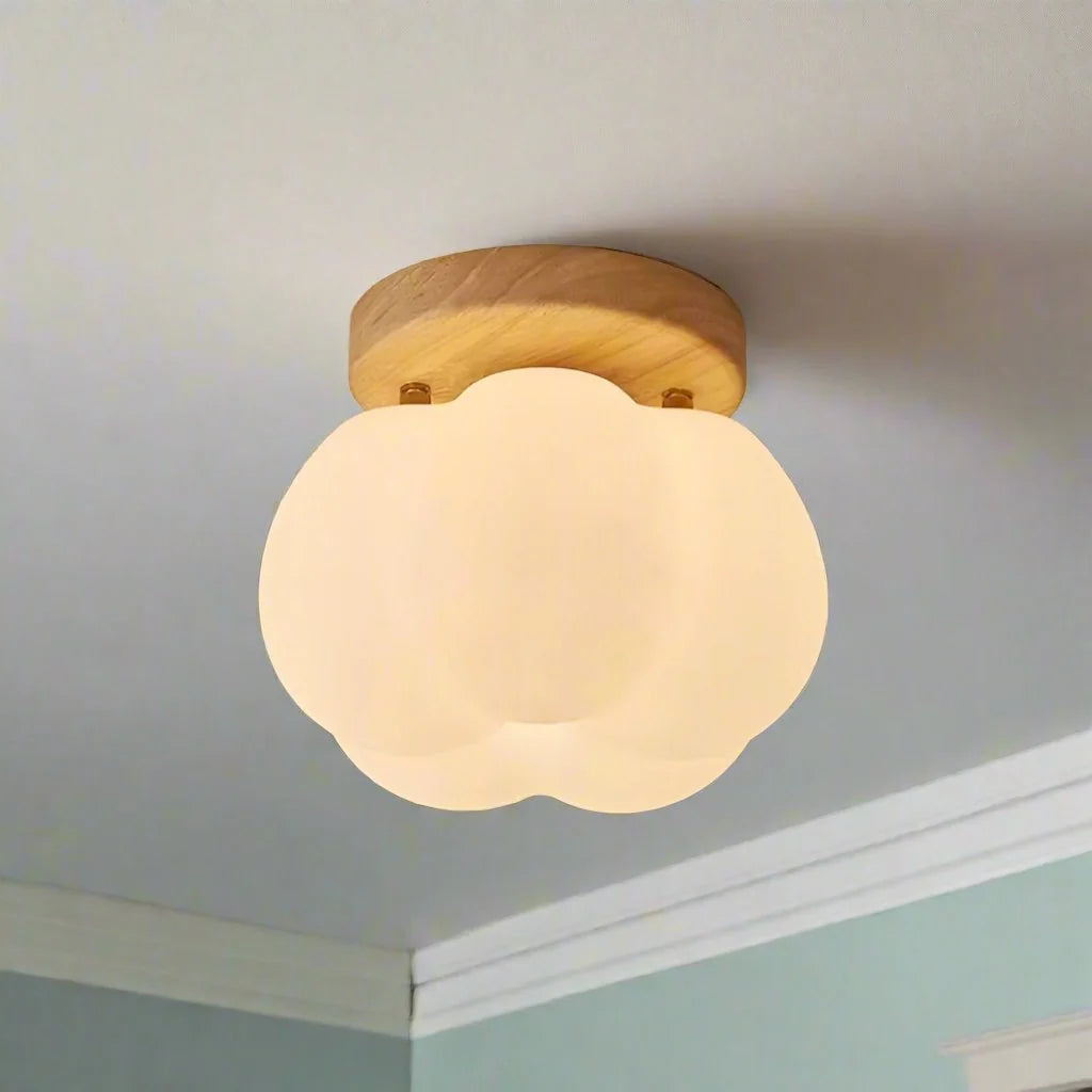 Ceiling Light | Ambient & Energy-Efficient | Easy Install