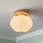 Ceiling Light | Ambient & Energy-Efficient | Easy Install