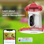 Bird Feeder | 1080P Wide-Angle Camera & Solar Charging