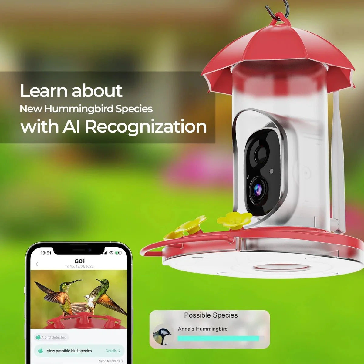 Bird Feeder | 1080P Wide-Angle Camera & Solar Charging