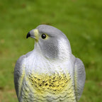 Falcon Decoy | Realistic & Weather-Resistant PE Resin | 40 x 17.5 x 17 cm