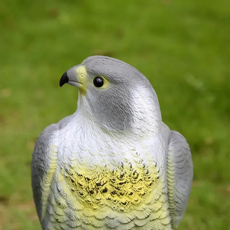 Falcon Decoy | Realistic & Weather-Resistant PE Resin | 40 x 17.5 x 17 cm