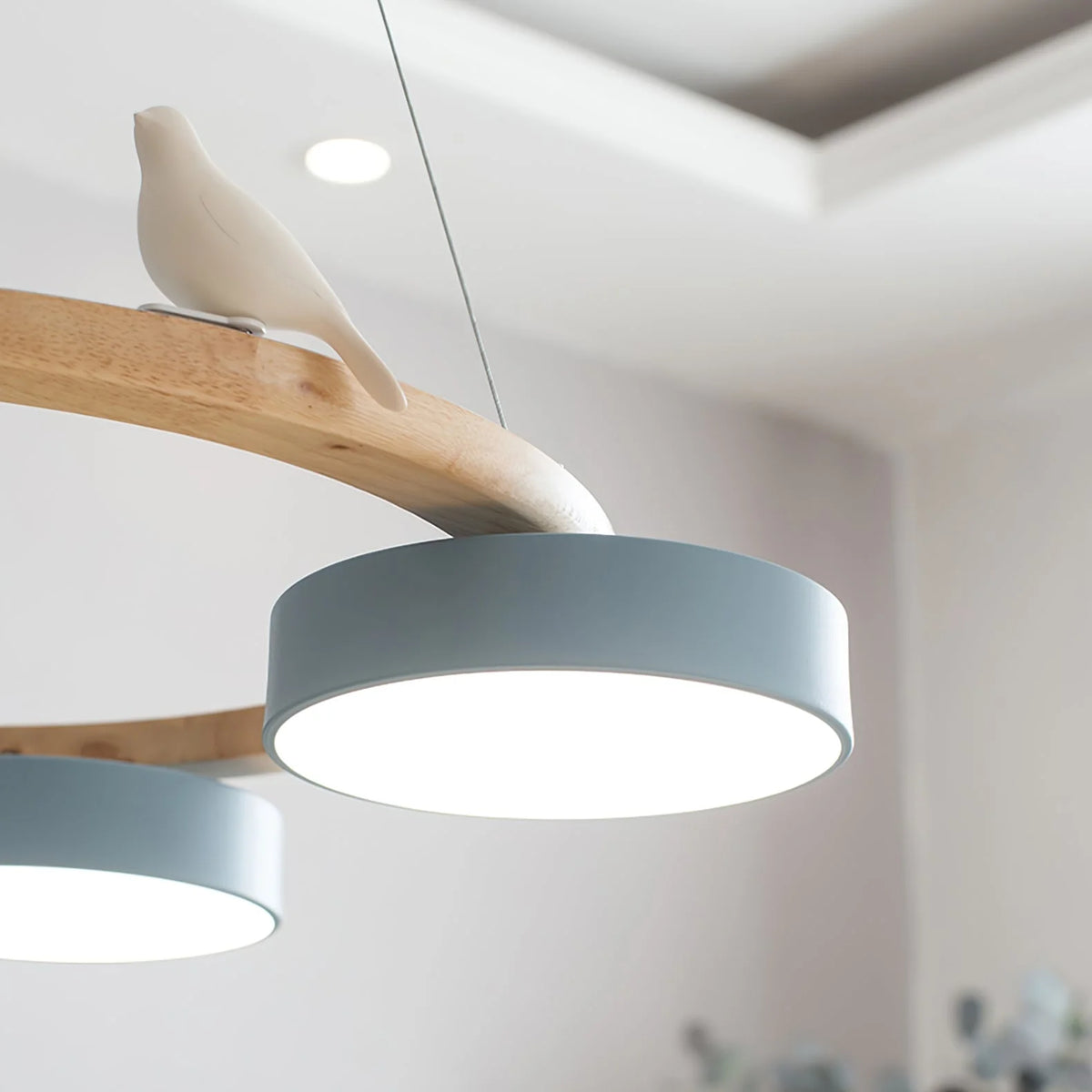 Pendant Chandelier | Round Bird Design & Wood, Resin & Acrylic Accents