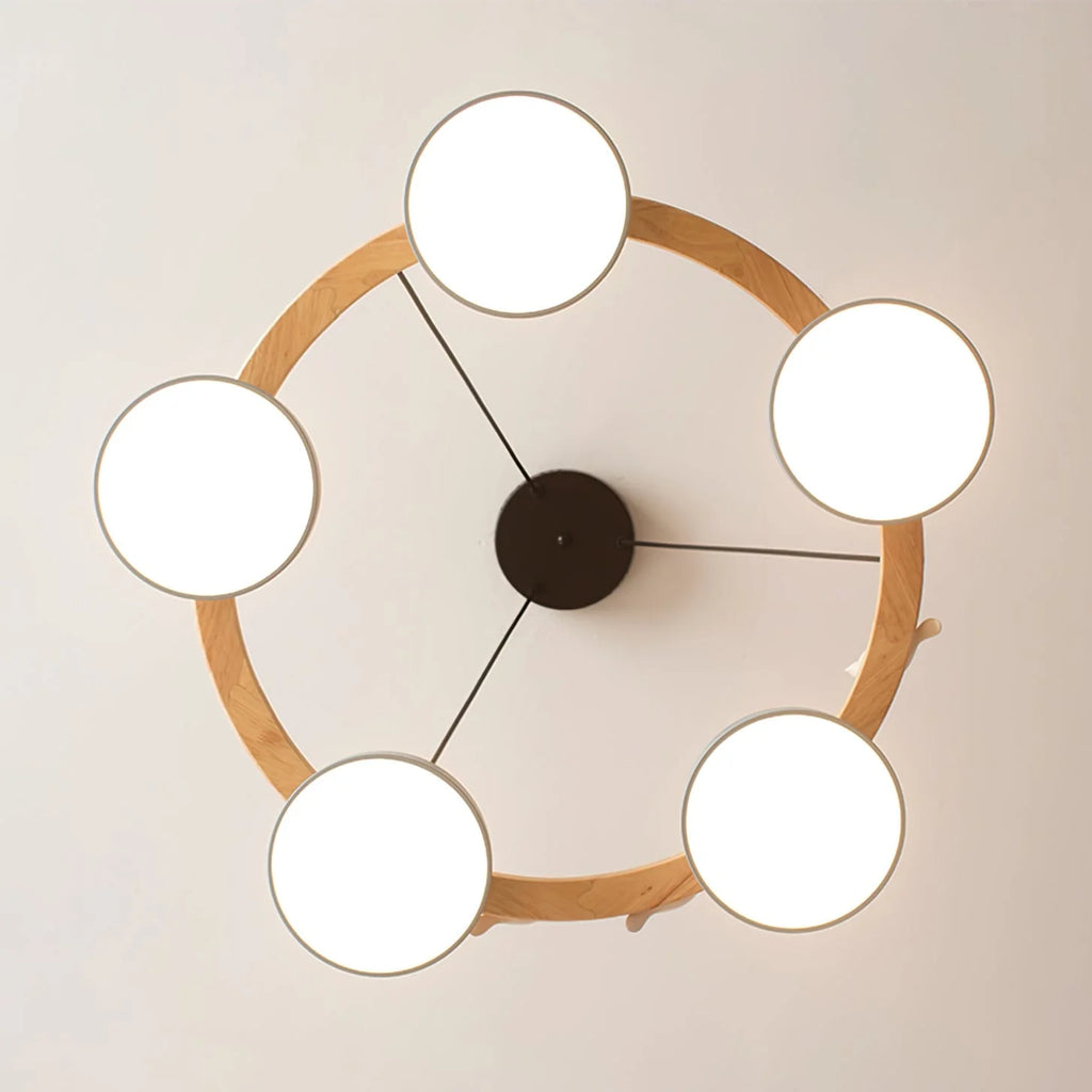 Pendant Chandelier | Round Bird Design & Wood, Resin & Acrylic Accents